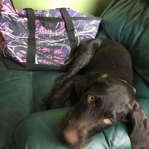 Meet your Posher, Lori